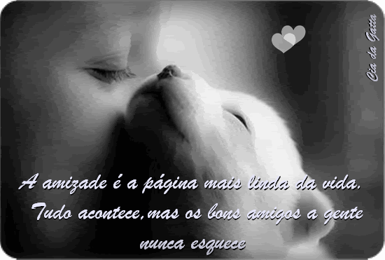 Amizade29 para orkut Amizade29 scraps