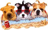 Amizade para orkut Amizade scraps