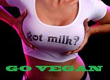 milk.jpg image by kompi